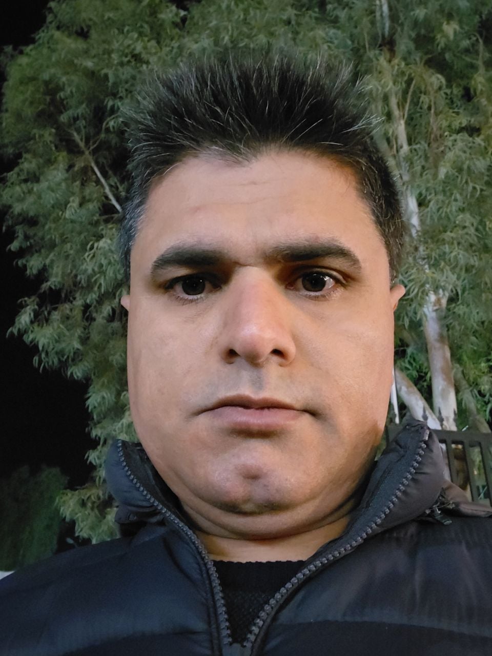 Seyed Amir Najibi