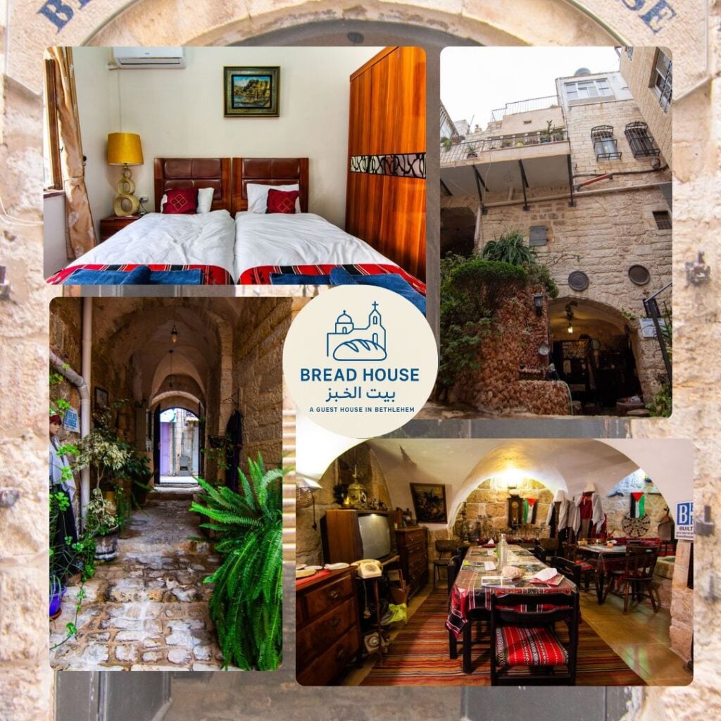 اندراوس حوش - portfolio - 0