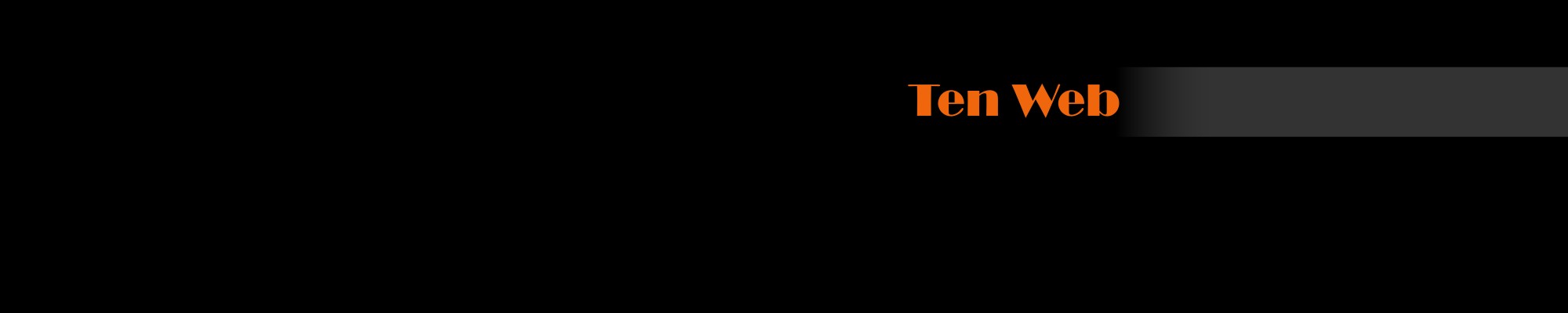 TEN WEB - cover