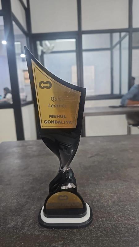 mehul gondaliya - portfolio - 0
