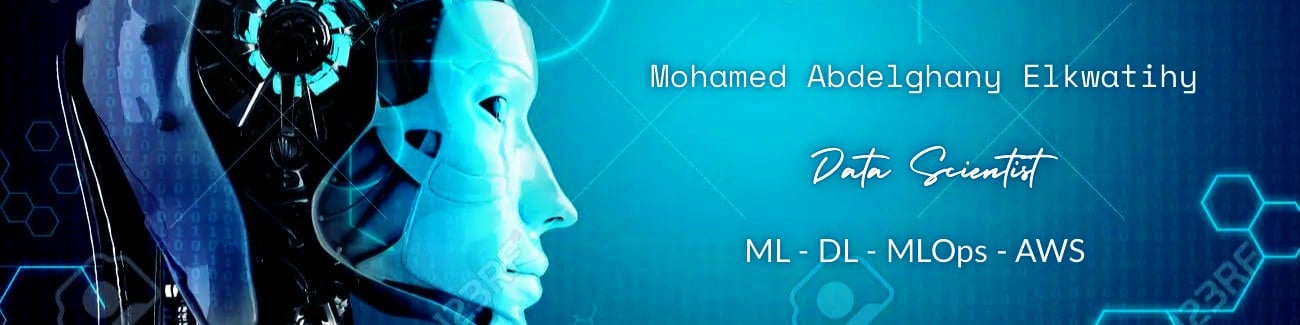 Mohamed Abdelghany - cover