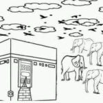 L’histoire des propriétaires d’éléphants - À distance