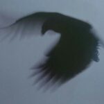 Humayun Razzaq - لاهور, باكستان