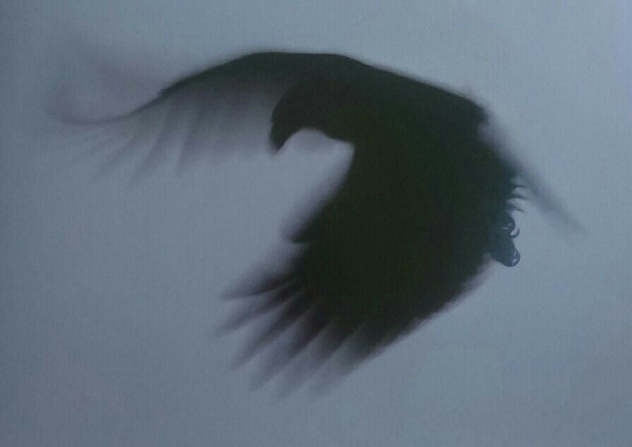 Humayun Razzaq