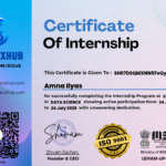 Data Science Internship Certificate