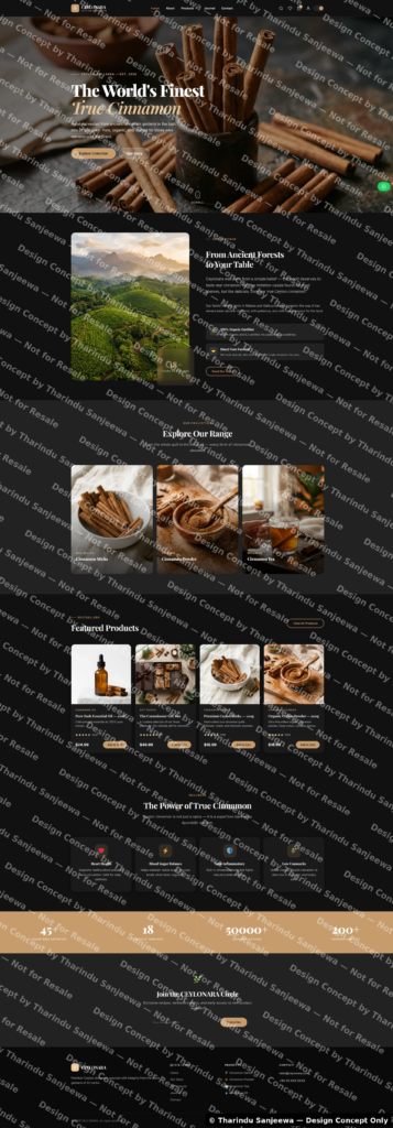 Développement de sites WordPress - portfolio - 0