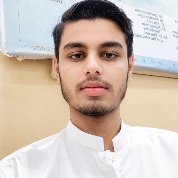 Faizan Amir Ali