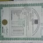 Affiliate Financial Accountant
