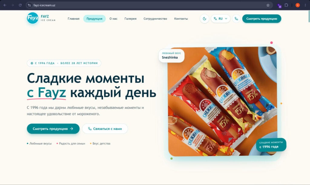 I will build a modern responsive website or web application - portfolio - 1