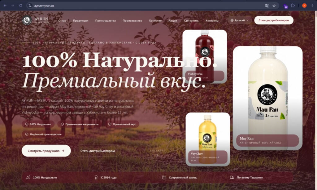 I will build a modern responsive website or web application - portfolio - 0
