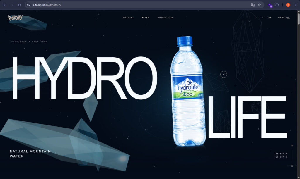 I will build a modern responsive website or web application - portfolio - 2