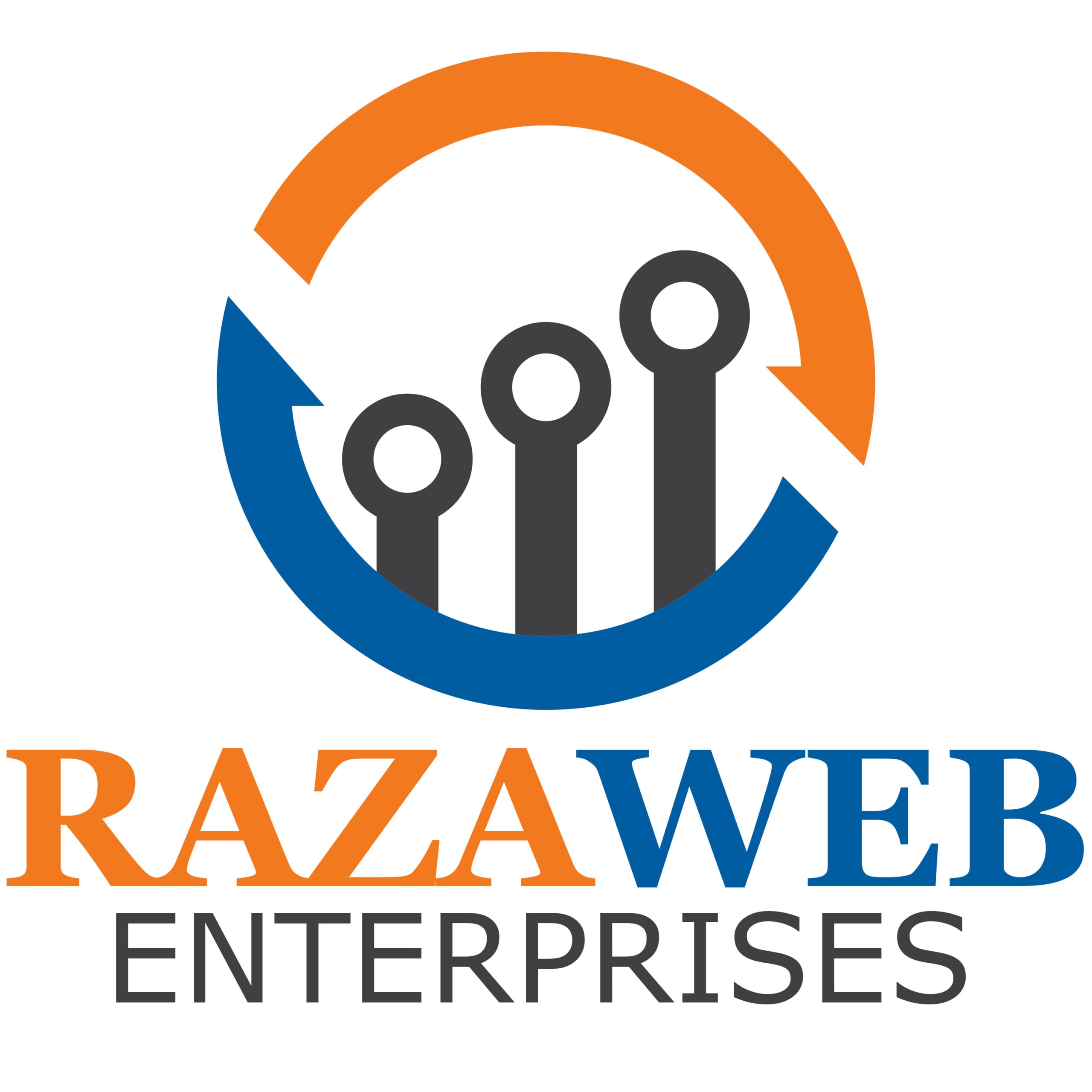 Raza Web Enerprises