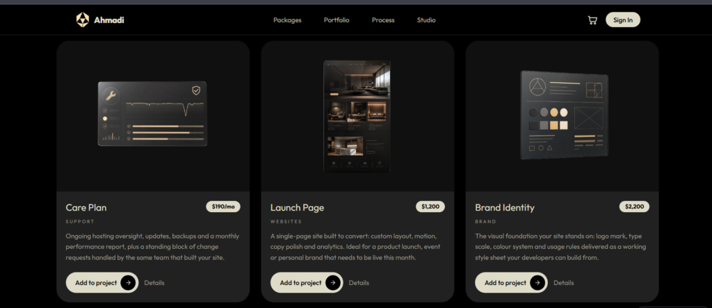 Sahil Ahmadi - portfolio - 2