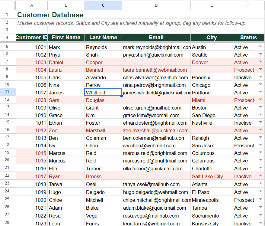 Comprehensive Data Entry & CRM Cleanup - portfolio - 0