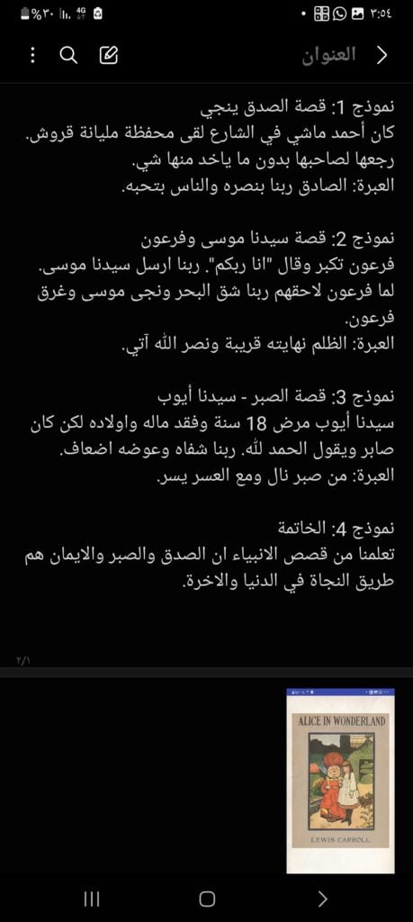 إسراء عبدالرحيم مصطفى - portfolio - 2