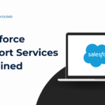 سأكون مسؤول Salesforce أو مطور Salesforce الخاص بك - عن بُعد