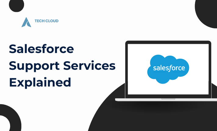 I will be your salesforce admin or salesforce developer - portfolio - 0