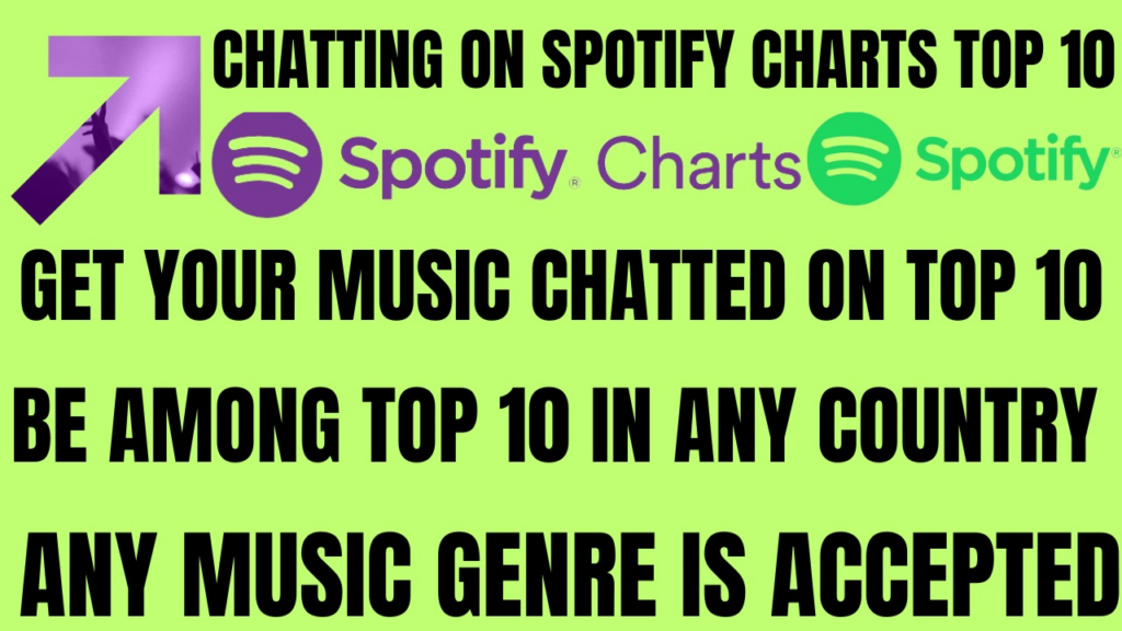 I will chart spotify music to Top 10 Spotify chart in any country successfully - portfolio - 0