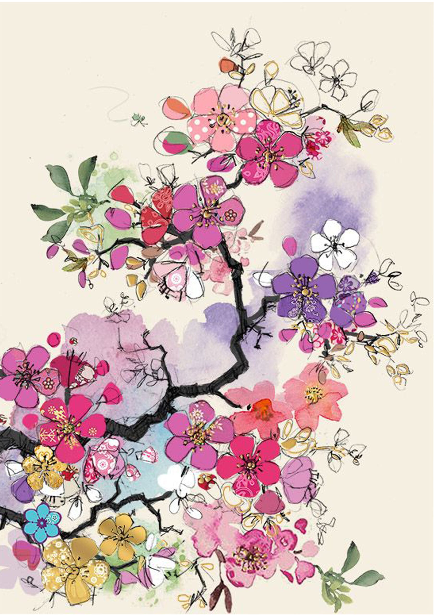 Hajra Dastgir - cover