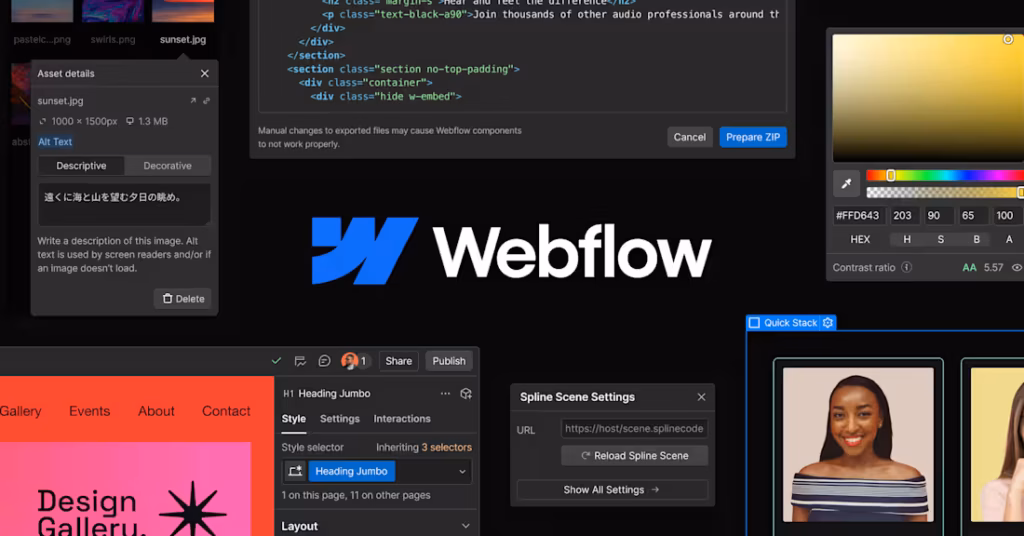 Développement de sites web Webflow - portfolio - 0
