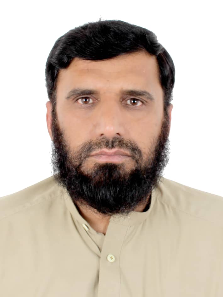 English to pashto translator