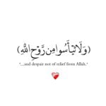 يحي محمد