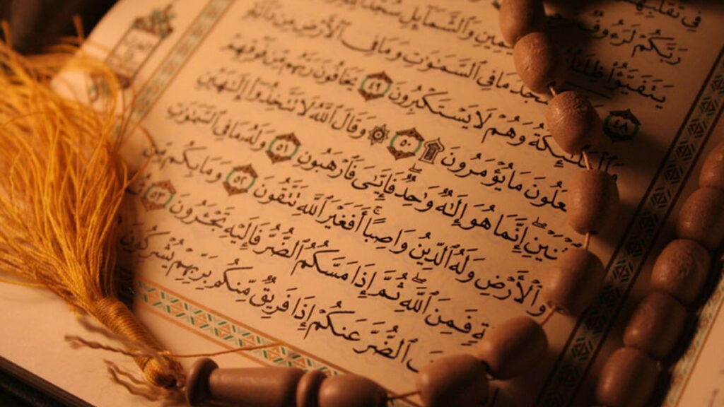 Zahra  Abdisalaam  - معرض الأعمال - 0