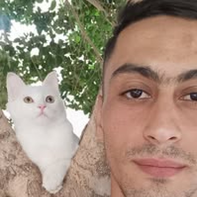 BLANKO DZ