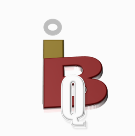 BIG IQ RECORDS SOLUTIONS - portfolio - 0