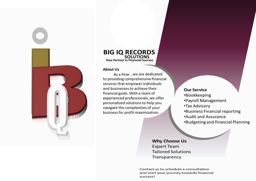 BIG IQ RECORDS SOLUTIONS - portfolio - 1