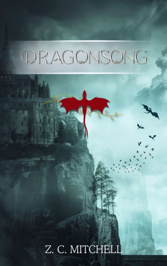 Design de couverture de livre - portfolio - 2