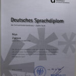 DSDII