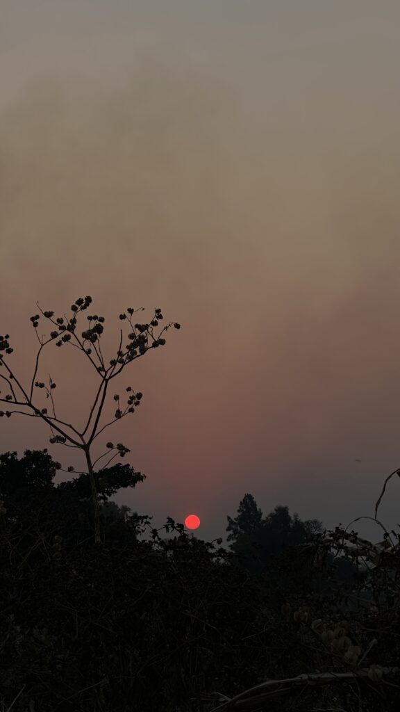 Notla Sol - معرض الأعمال - 2