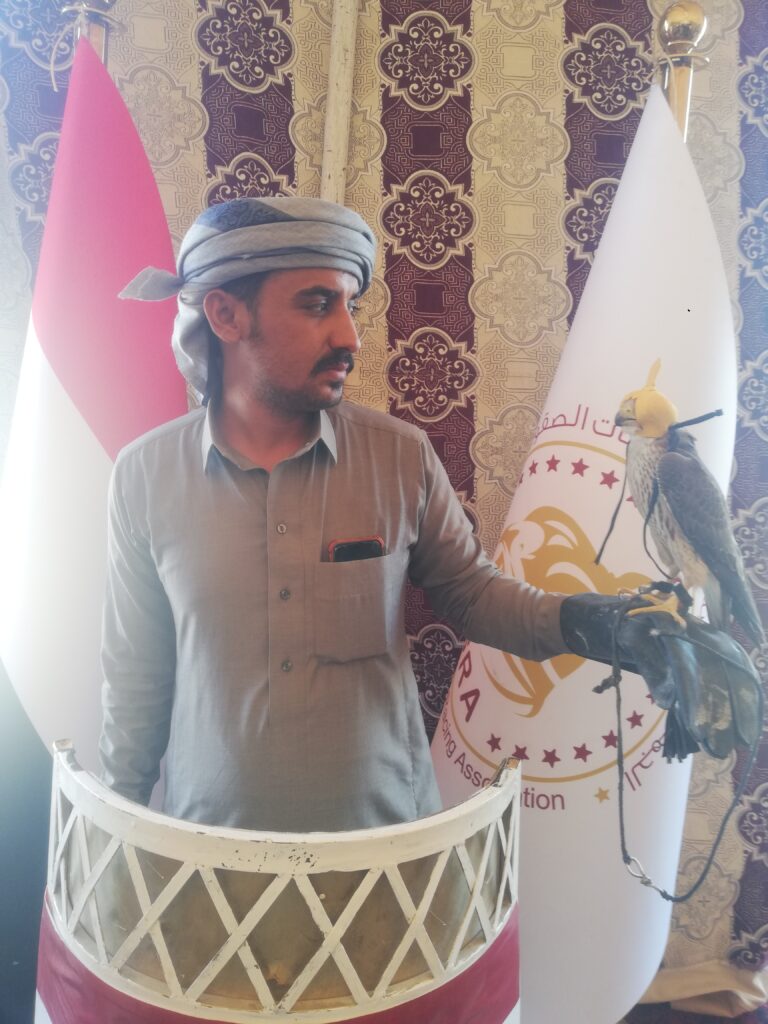 Ghazi Mohamed Ghazi Ben Zima - portfolio - 0