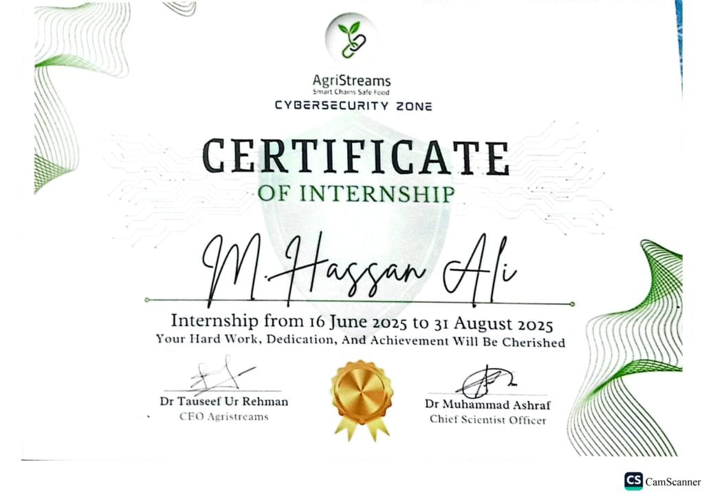 Hassan Ali - portfolio - 0
