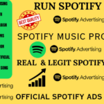 I will promote your spotify music and get you organic streams listeners
