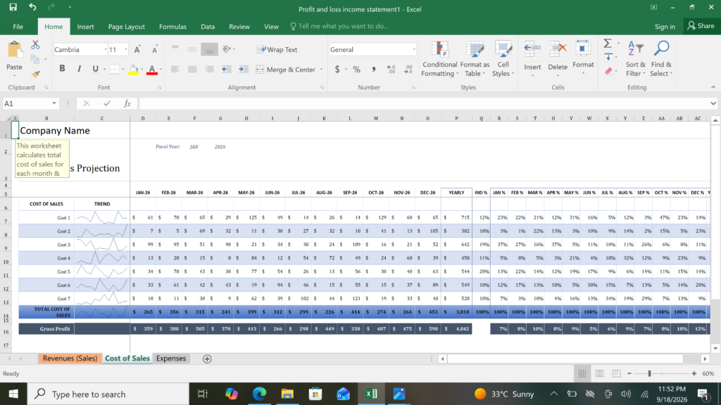 i will create professional financial statements and do analysis - portfolio - 1