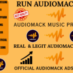 I will promote your audiomack music and get you real people plays