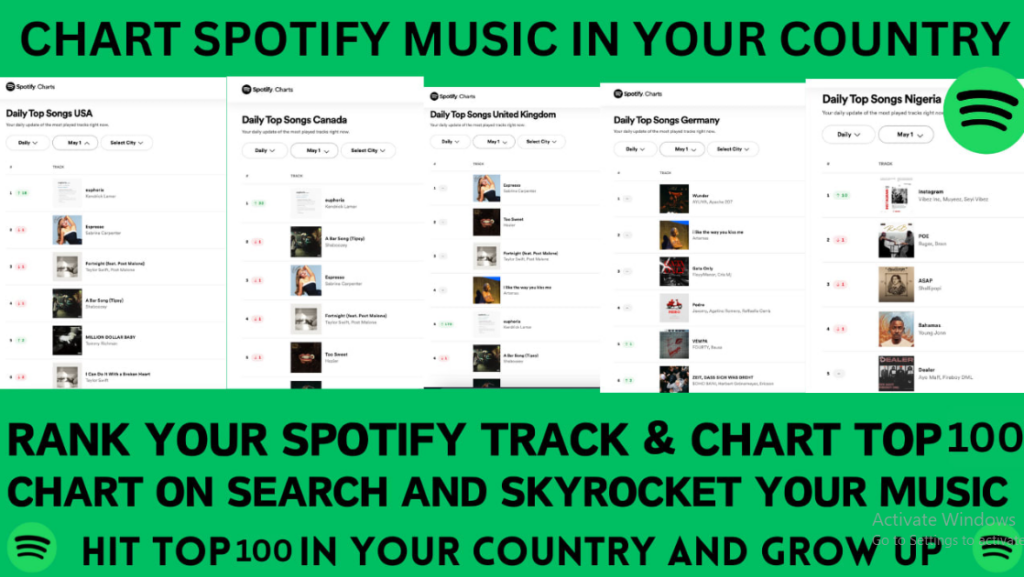 I will chart your Spotify music to Top 100 Spotify chart in any country successfully