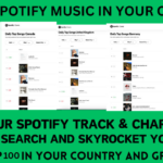 I will chart your Spotify music to Top 100 Spotify chart in any country successfully