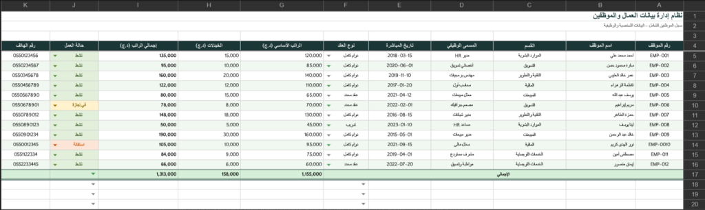 Saisissez professionnellement, nettoyez et analysez les données avec Python et Excel - portfolio - 1