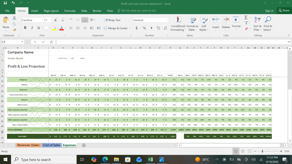 i will create professional financial statements and do analysis - portfolio - 2