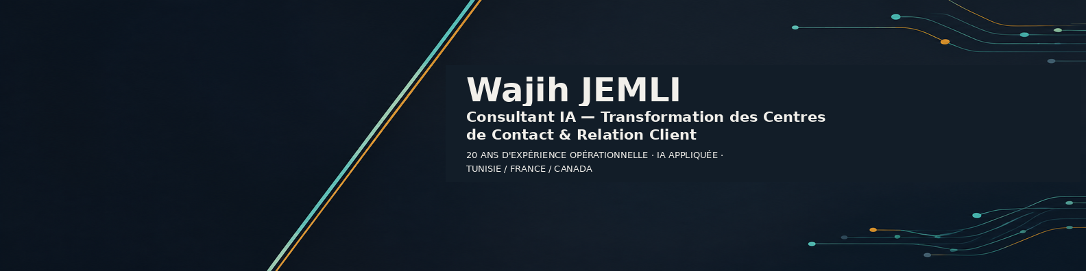 Wajih JEMLI - cover