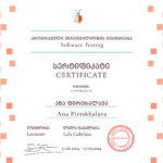 Software Testing