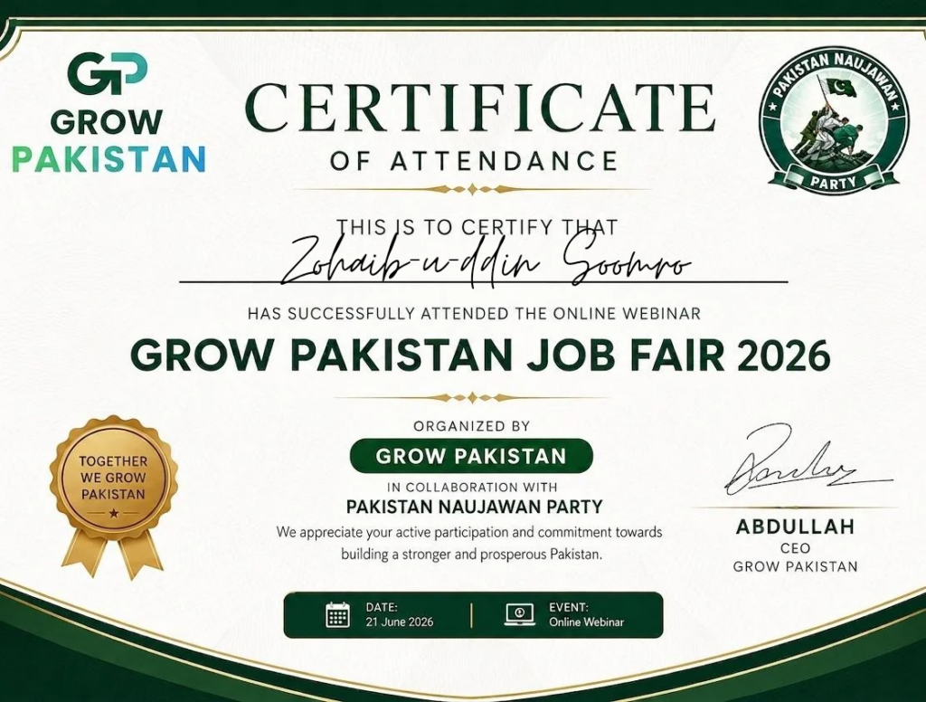 Zohaibuddin Soomro - portfolio - 2