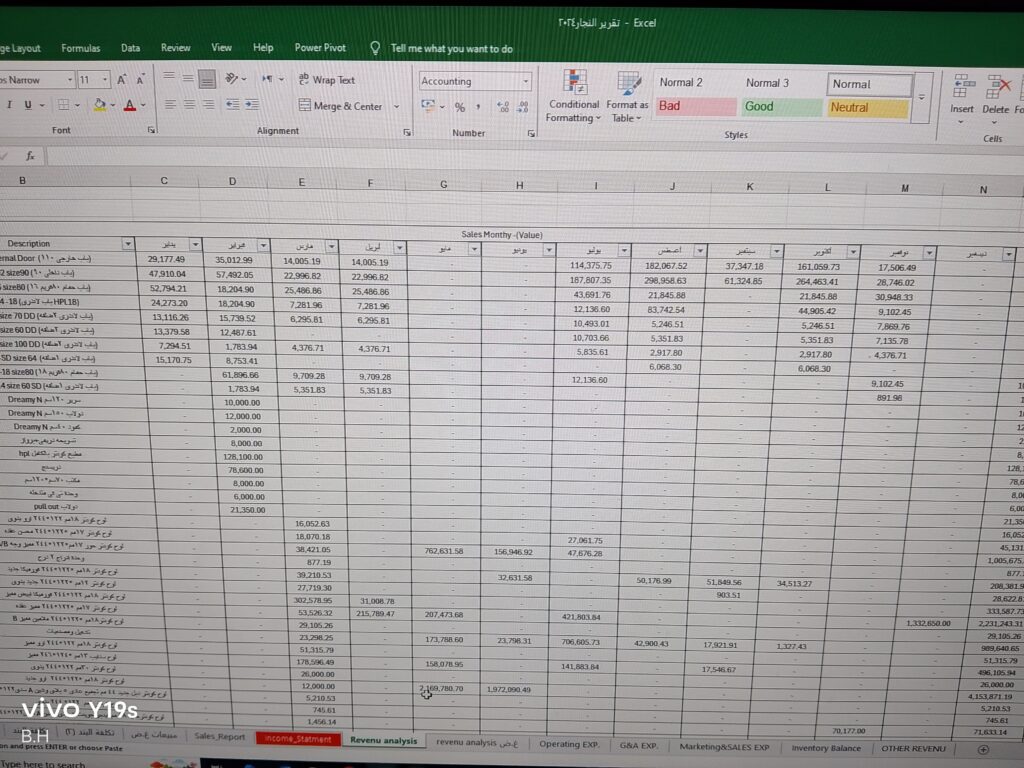 Je saisis les données pour déposer les déclarations, téléverser les factures électroniques, analyser les données et enregistrer les écritures comptables - portfolio - 2