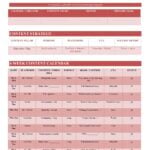 I will create a professinal 30 day Social Media Content Calendar