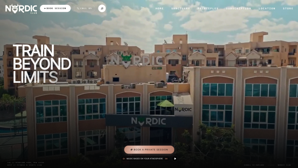 I turn any idea you imagine into a professional website that brings your vision to life. - portfolio - 2