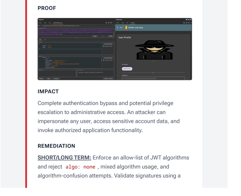 Web Application Penetration Tester (OWASP Top 10) - portfolio - 2