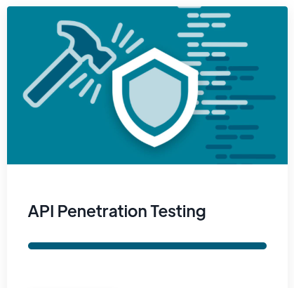 API Security Tester (OWASP TOP 10 API)